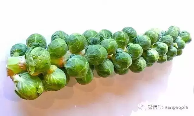 西人超市那些你不认识的怪乱食材，也能做出中国味儿！