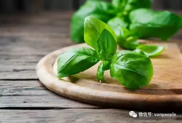 西人超市那些你不认识的怪乱食材，也能做出中国味儿！