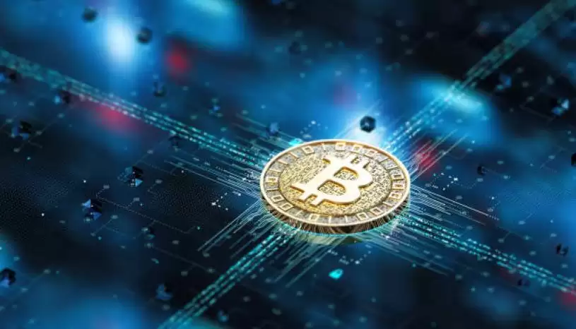 税局打击加密货币逃税　三年追收逾1亿