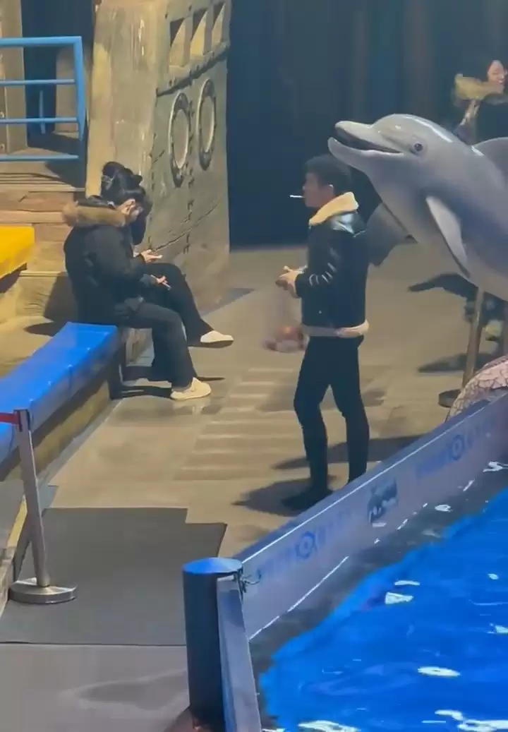 缺德男吸烟︱网传大连海洋馆白鲸喷水淋头   网民大赞： 灭火鲸︱有片