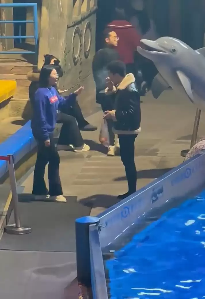 缺德男吸烟︱网传大连海洋馆白鲸喷水淋头   网民大赞： 灭火鲸︱有片