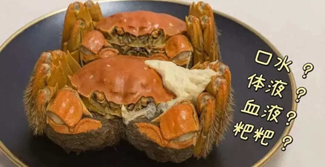 蒸熟的螃蟹身上 像鸡蛋白一样的固体是什么?