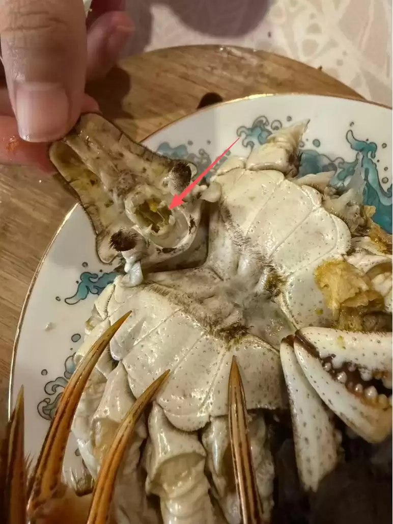 蒸熟的螃蟹身上 像鸡蛋白一样的固体是什么?