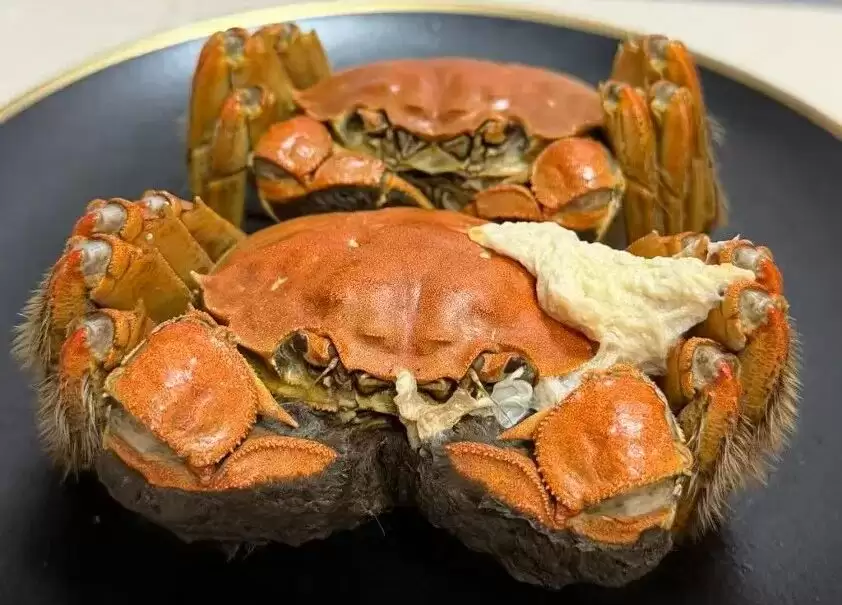 蒸熟的螃蟹身上 像鸡蛋白一样的固体是什么?
