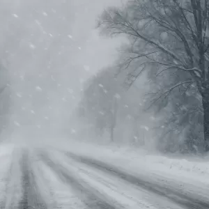 阿尔伯塔30厘米降雪来袭 班芙受冲击