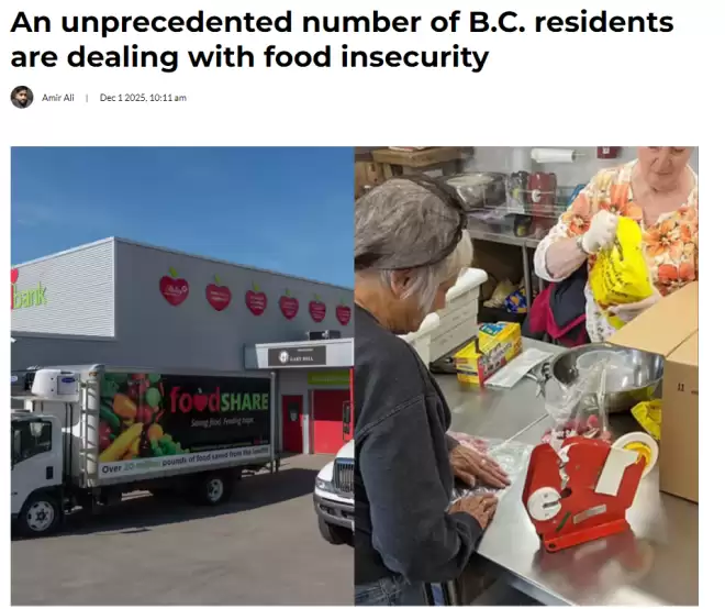 BC省近四分之一居民陷食物危机,140万人为下一顿饭发愁!