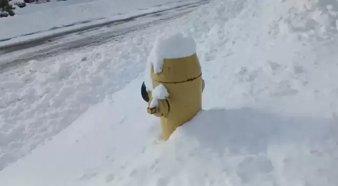 冻哭了！今冬最冷一天，多伦多体感直逼-20°C，持续降雪