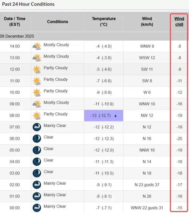 冻哭了！今冬最冷一天，多伦多体感直逼-20°C，持续降雪