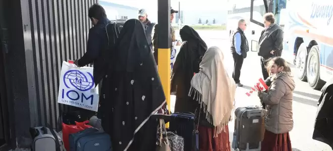 专家警告：特朗普暂停庇护后，美国阿富汗难民或大规模偷渡加拿大
