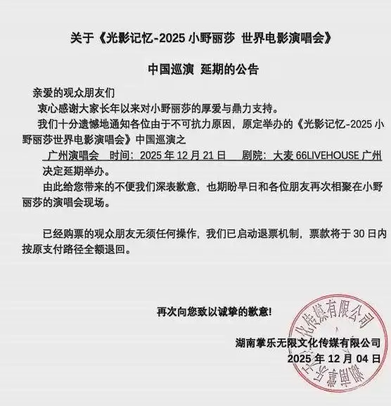 小野丽莎中国巡回演唱会 因“不可抗力”取消
