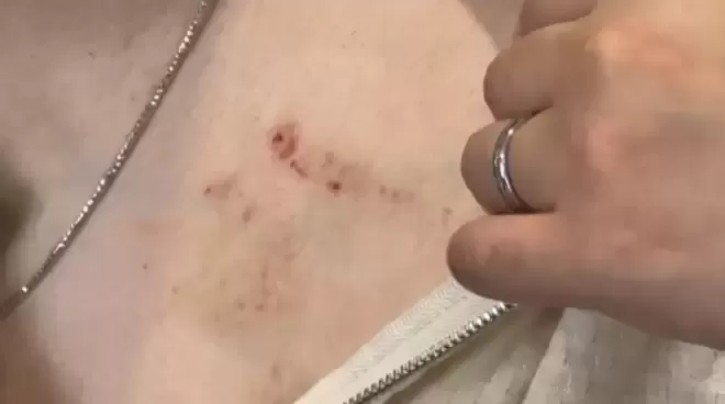 60秒命悬一线! 加拿大亚裔夫妻"卖闲置"被盯上 歹徒入室暴力袭击