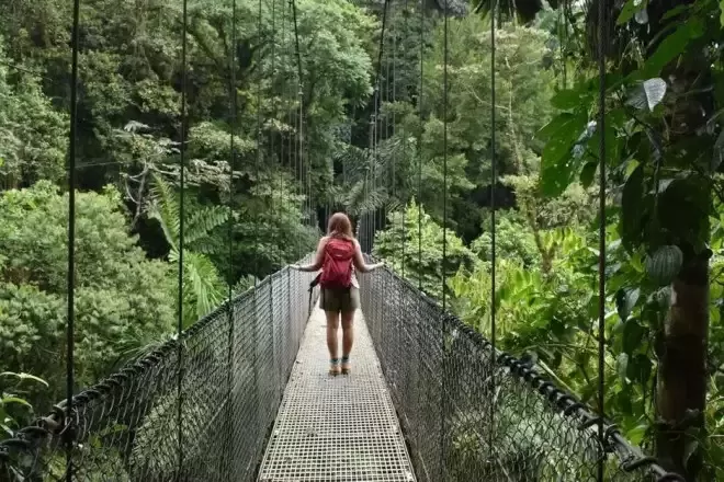 加拿大飞这些城市 机票价格将大降！去热门阳光旅游地
