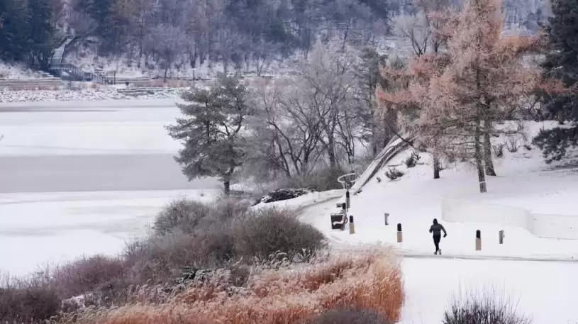 加拿大10省区接天气警报    安省暴雪亚省寒冷卑诗豪雨