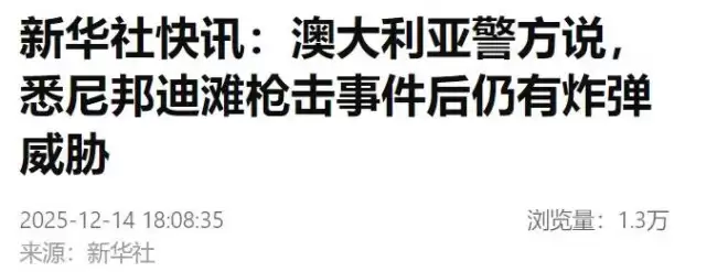 悉尼枪击案惊险一幕：男子上前与其扭打成功夺枪