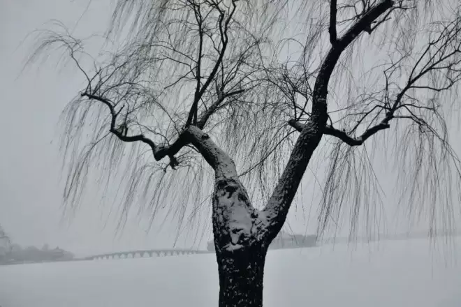 北京下雪了，颐和园美成一幅画！