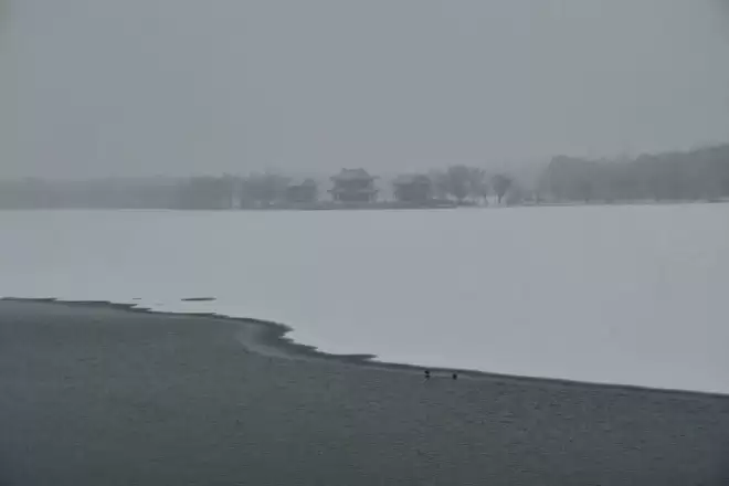北京下雪了，颐和园美成一幅画！