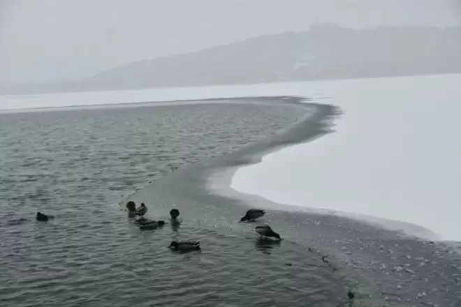 北京下雪了，颐和园美成一幅画！