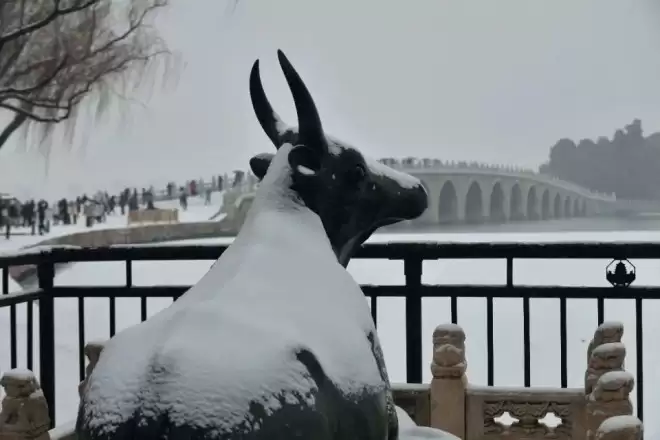 北京下雪了，颐和园美成一幅画！