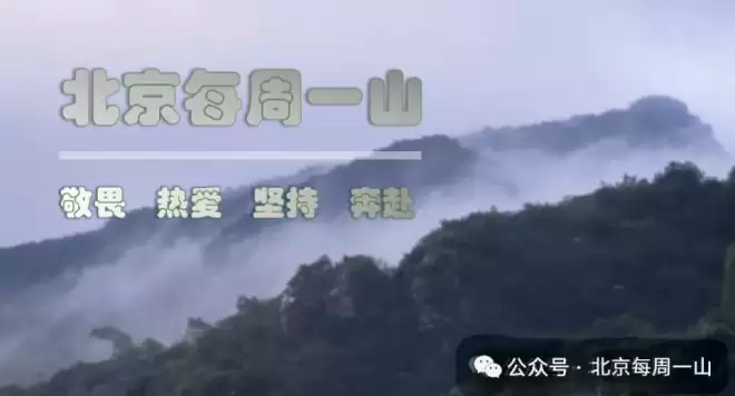 北京下雪了，颐和园美成一幅画！