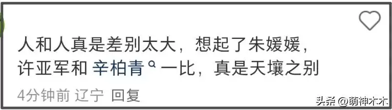 许亚军在美国生活被拍 缺席何晴丧礼被骂