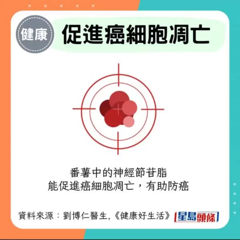 日本研究严选18大抗癌蔬果 这种食物击败芦笋/椰菜花夺冠 医生赞有效防乳癌/大肠癌！