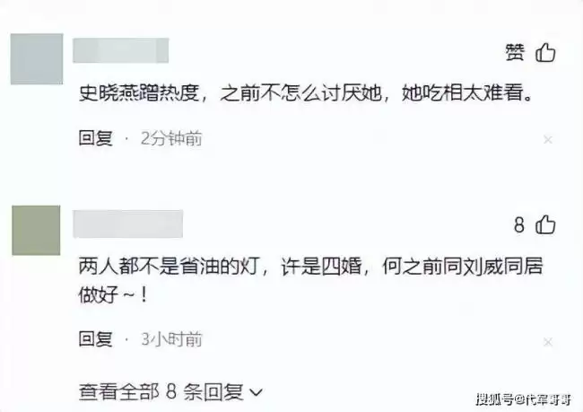 史晓燕曝何晴离婚咎由自取，网民却将她扒个底朝天