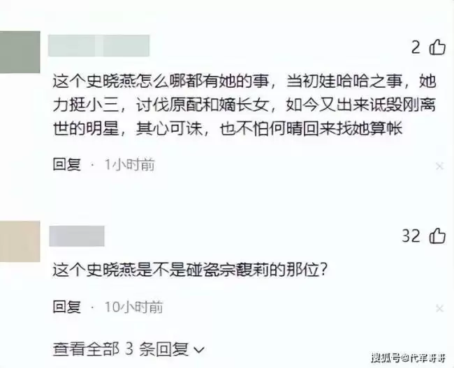 史晓燕曝何晴离婚咎由自取，网民却将她扒个底朝天