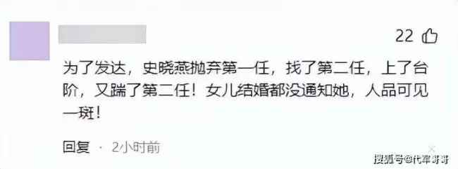 史晓燕曝何晴离婚咎由自取，网民却将她扒个底朝天