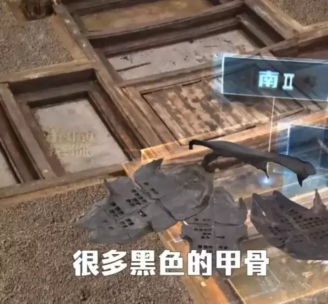 武王墩大墓首次发现的楚王珍藏的"长霝"长啥样？