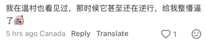 顶流！国产"老头乐"爆火加拿大！老外排队抢！居然卖这个价！