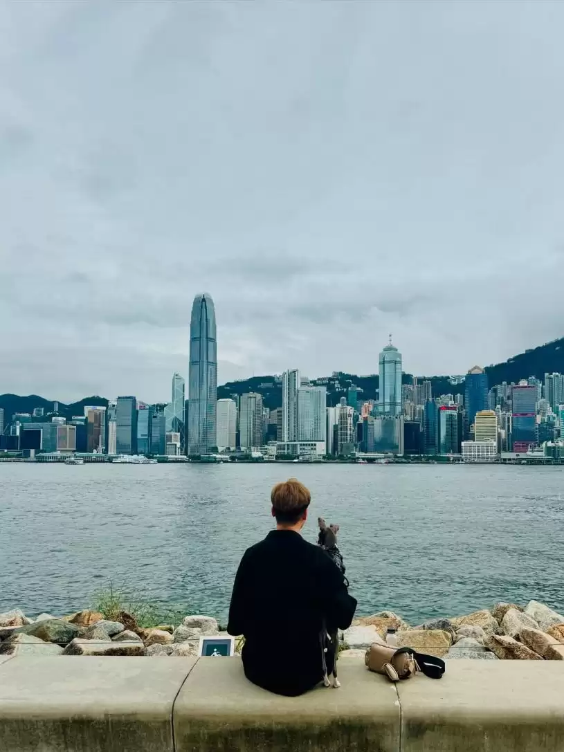 加拿大回流前TVB“金牌司仪”破产  开班当导师55岁重新出发