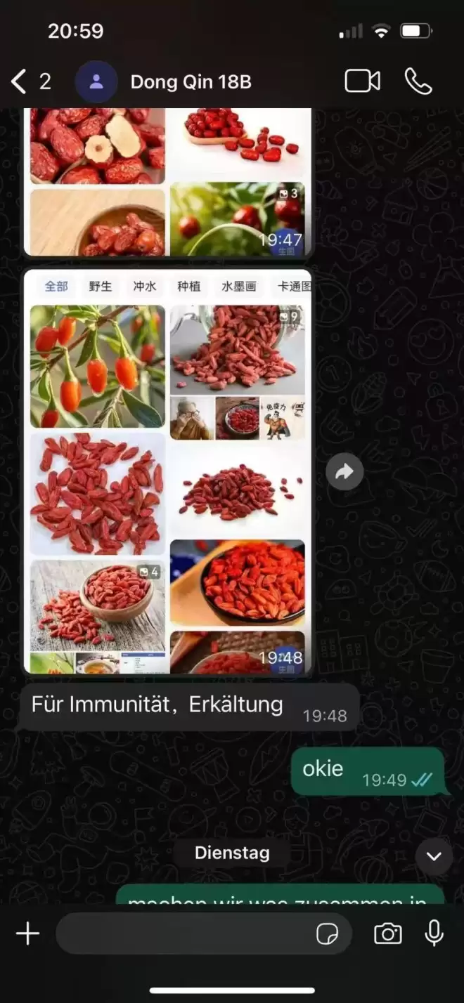 中国女欧洲邮轮上神秘失踪 母亲：女儿在德当护士 登船当天是她32岁生日