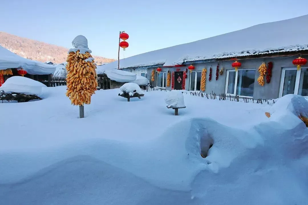 又冷又冻的冬天，东北人过得“老带派”了