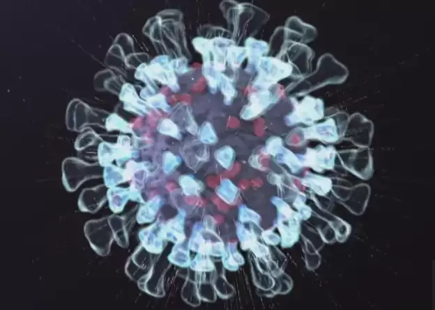 H3N2流感在加拿大迅速传播，可能引发心脏病和中风，如何防范？