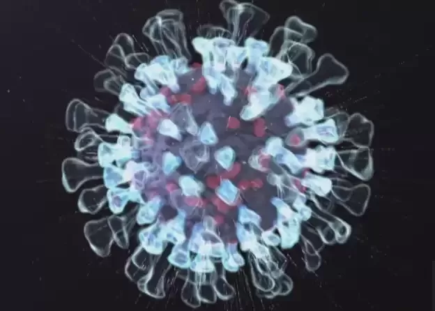 H3N2流感在加拿大迅速传播，可能引发心脏病和中风，如何防范？
