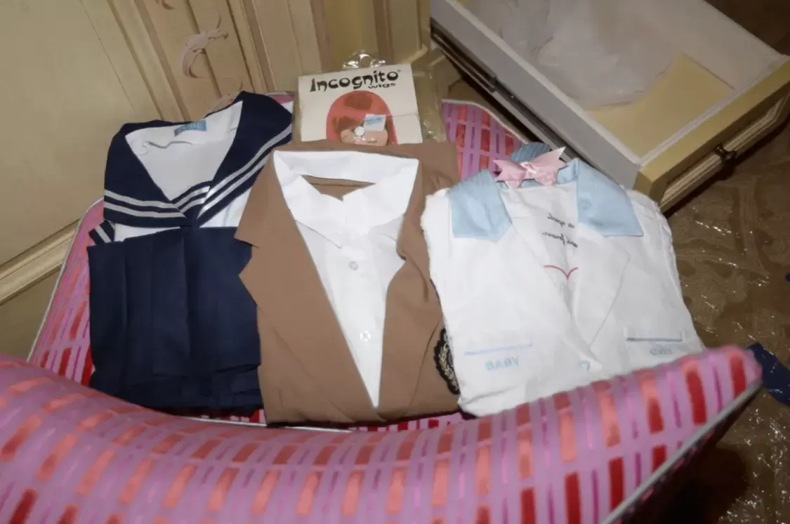 爱泼斯坦豪宅有老虎标本 大量角色扮演服 怪异雕塑