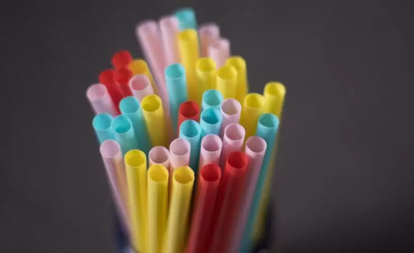 经济考量  渥太华暂停一次性塑胶出口禁令