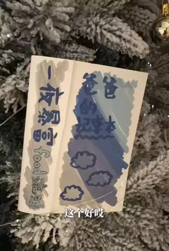 伊能静晒家中内景!客厅拥挤还脏乱,秦昊裹睡衣头发油到打绺
