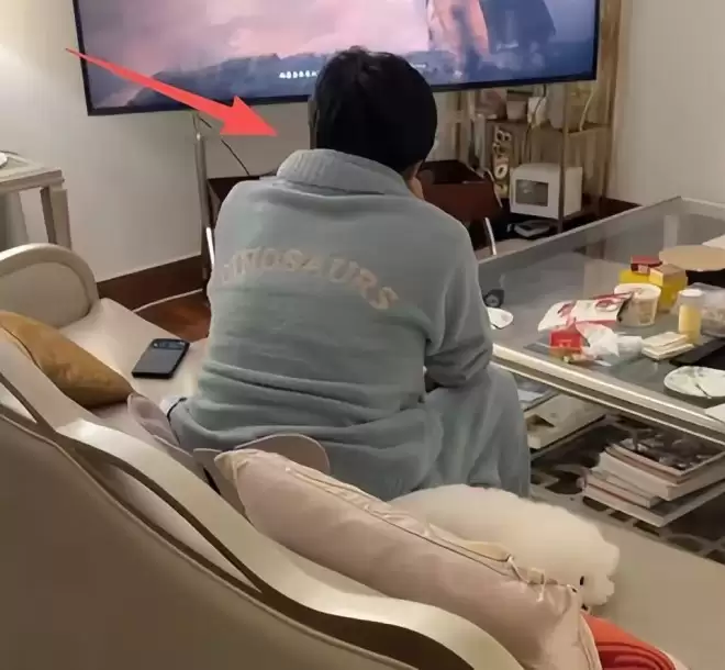 伊能静晒家中内景!客厅拥挤还脏乱,秦昊裹睡衣头发油到打绺