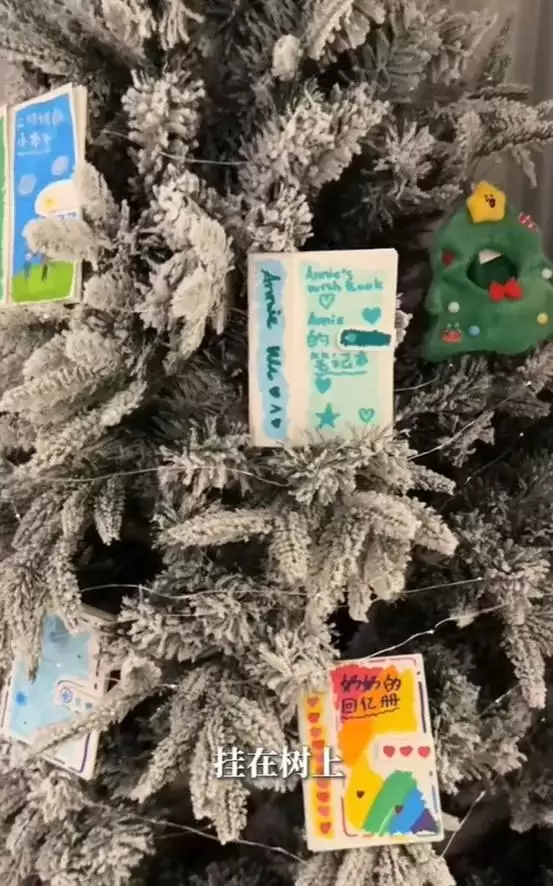 伊能静晒家中内景!客厅拥挤还脏乱,秦昊裹睡衣头发油到打绺