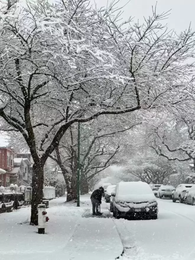 下雪天别硬刚！这样可能要你的命铲雪活动可能暗藏健康风险