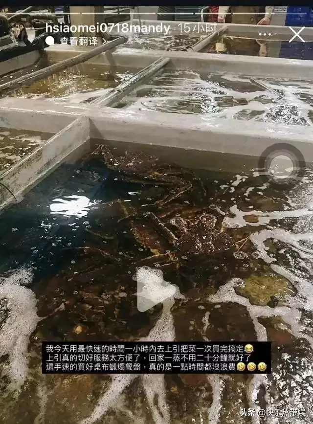 马筱梅圣诞家中待客，玥儿箖箖惊喜出镜