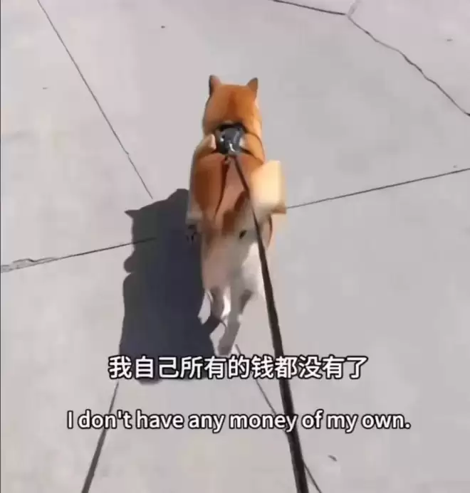 郑爽在美国越混越差！打官司诉讼费都掏不起