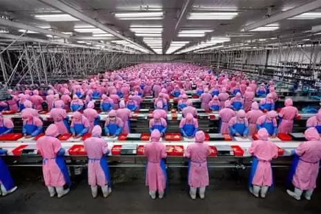 令人震惊：46张照片讲述本世纪迄今为止的故事