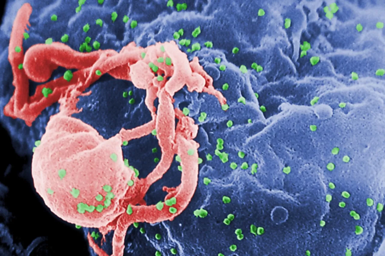 8旬翁与保母发生关系染HIV：老年爱滋患者持续上升