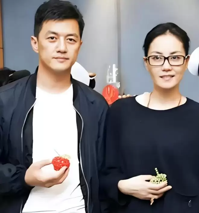 杨澜的爆料 撕下了王菲的“遮羞布” 难怪谢霆锋拒绝和她结婚