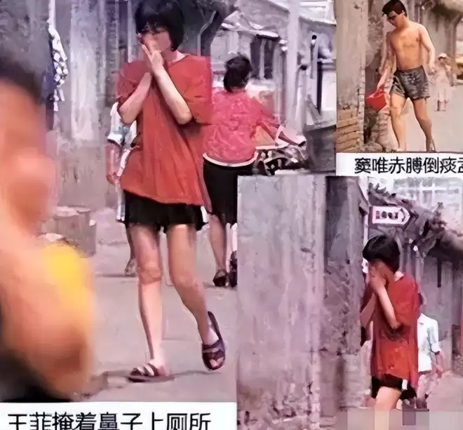 杨澜的爆料 撕下了王菲的“遮羞布” 难怪谢霆锋拒绝和她结婚