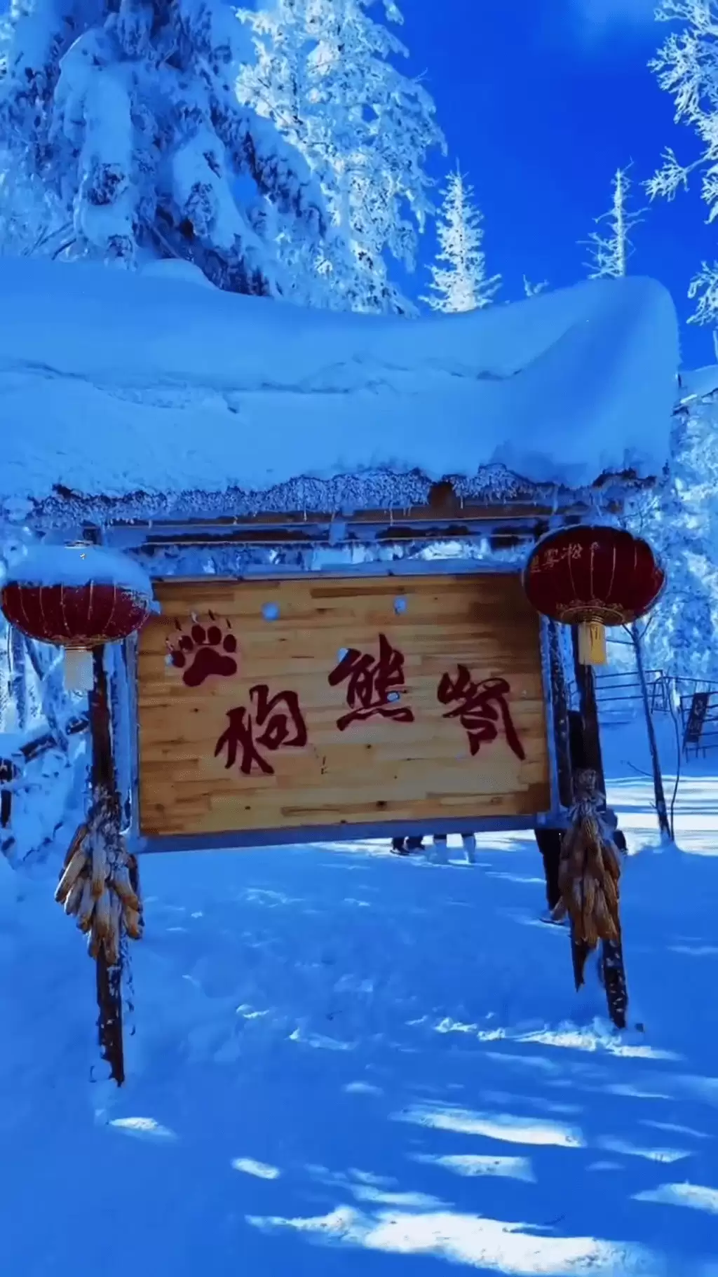 游客批“照骗”︱郑州“梦幻雪乡”棉花扮雪    开业3天700多差评
