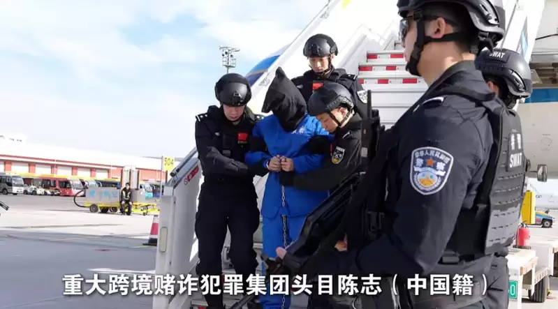 中特警押解“太子集团”陈志  他下机时被脱头套很狼狈
