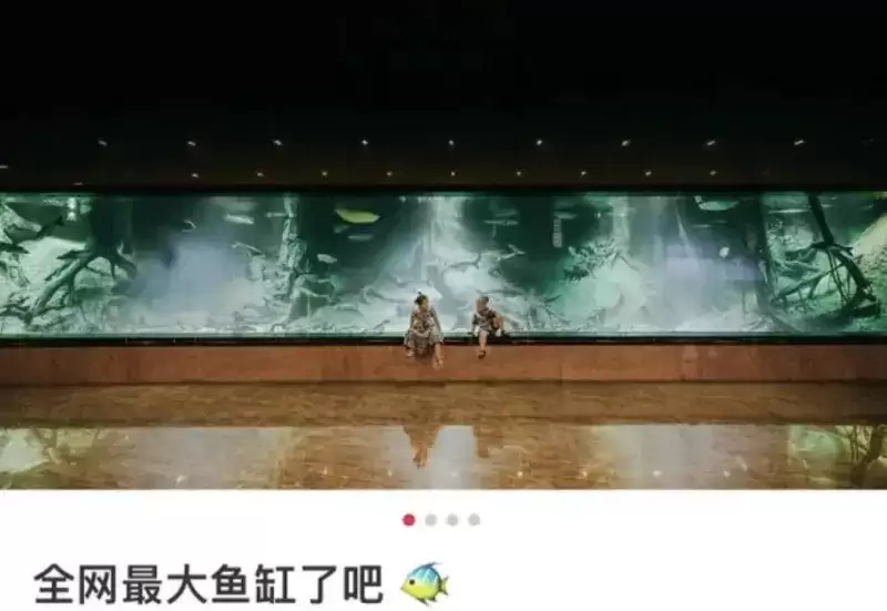 陈志被捕︱网传妻子夸张炫富  巨宅鱼缸养鲨鱼女儿弹天价钢琴